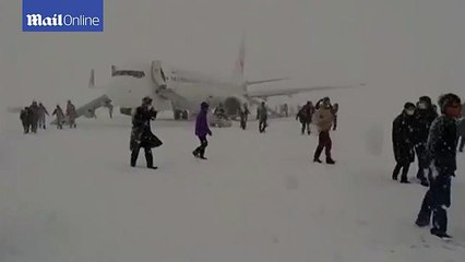 В Японии аварийно сел самолет. kratko-news.com