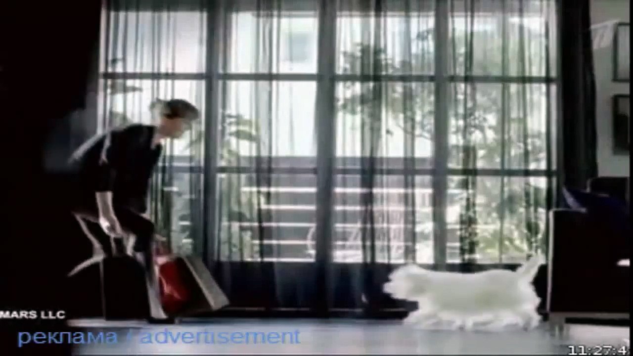 Реклама корма для собак  Cesar  корм для собак цезарь