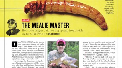 Trout Lessons from the Mealie Master (1 of 4)