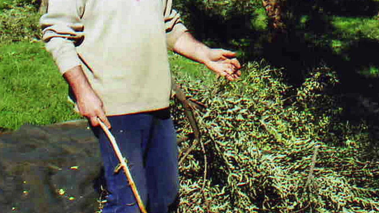 Natürliches Olivenöl vom Peloponnes