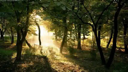 Musalmano Ka Daur E Erteeqa-Official By Junaid Jamshed