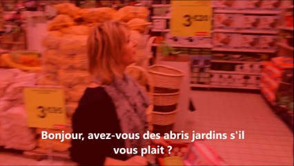 Découvrez Mon Incroyable Formation : Rejoignez Notre Boutique en Ligne ! 🌟