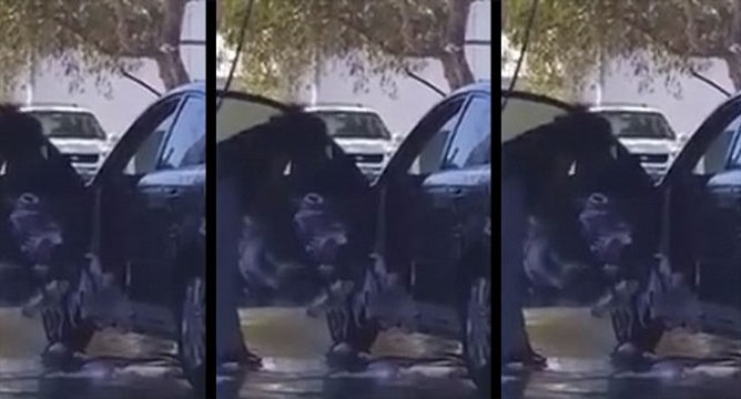 Cette femme a une étonnante façon de laver sa voiture