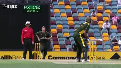 Shahid Afridi baseball six