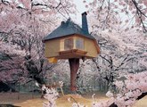 Na jednom drvetu u Japanu smjestena je kuca koja izgleda kao iz bajke
