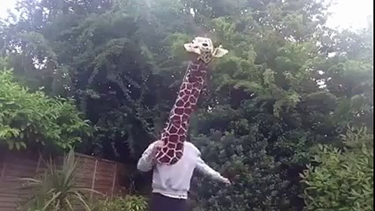 Just a man dressed as a giraffe  The best video you'll see today  Funny Videos 2015
