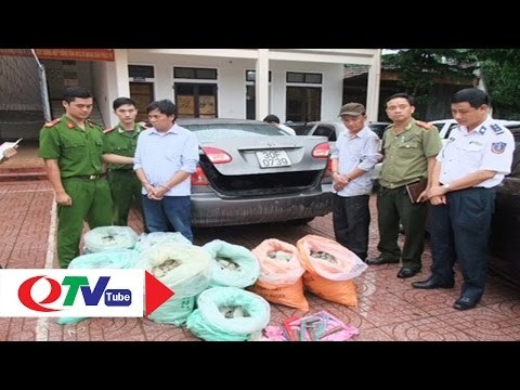 Quảng Ninh: Bắt 2 đối tượng vận chuyển thuốc nổ trái phép | QTV