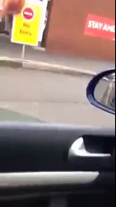 This Man Likes Getting Taken For Walks In Leash  Funny Videos 2016