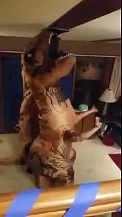 T-Rex pole dancers... Because why wouldn't you want to see that  Funny Videos 2015