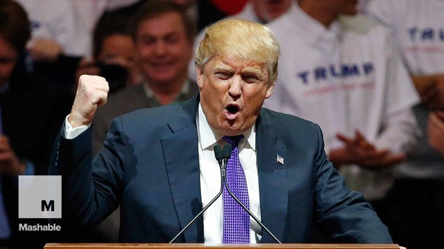 Donald Trump on his latest protester: 'I'd like to punch him in the face'