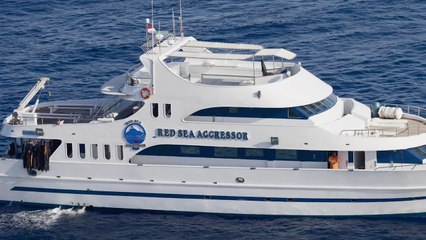 World's Best Diving and Resorts: Red Sea Aggressor