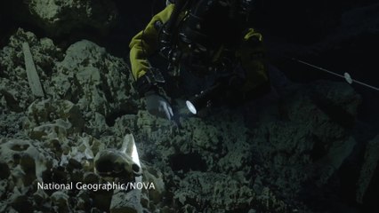 Hoyo Negro Skeleton Discovered in Underwater Cave of Yucatan Peninsula