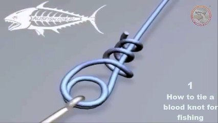 Top 6 Fishing Knots (Hook)