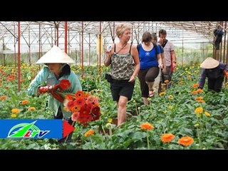 Du lịch vườn "hút" khách | LTV