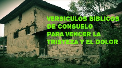 Versiculos Biblicos de Consuelo para vencer la tristeza y el dolor