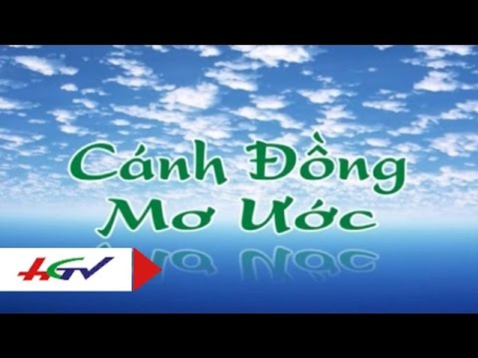 Cách sử dụng thuốc bảo vệ thực vật đúng cách đạt hiệu quả | HGTV