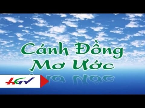Cách sử dụng thuốc bảo vệ thực vật đúng cách đạt hiệu quả | HGTV