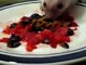 Prickles is eating strawberries blueberries!