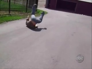 America's Funniest Home Videos Part 20