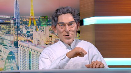 Jungle fever - The Guignols  - CANAL+