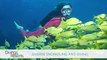 World's Best Diving & Resorts: Bimini Big Game Club