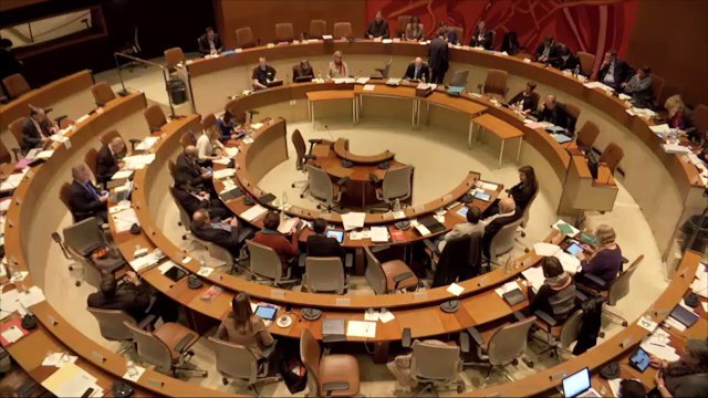 Intervention de Thomas Rémond - Conseil municipal de Strasbourg - 22 février 2016