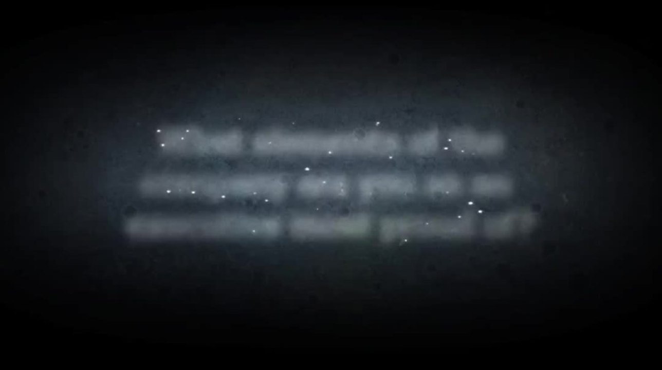 What elements of the company are you as an executive most proud of?