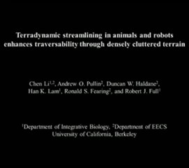 Robo Roach Tucks And Rolls Like A Real Roach