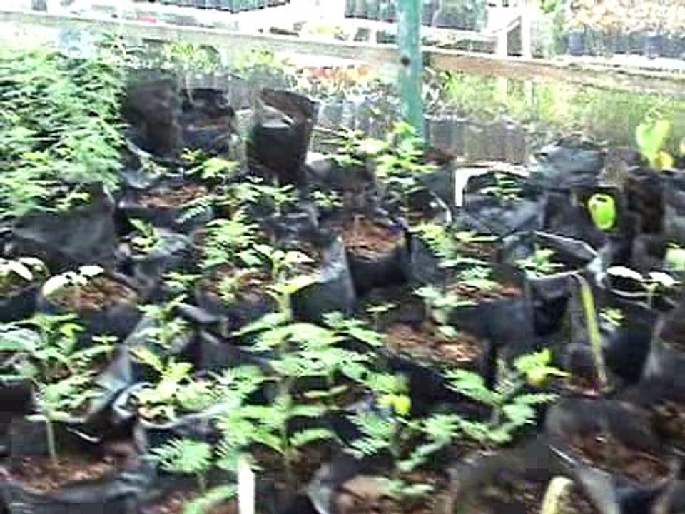 Galapagos - Santa Cruz