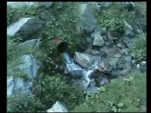 Le Lyon Longskate Crew a la freeride Pipay Diot Longboard C