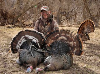 Bowhunting Turkeys: How to Run and Gun