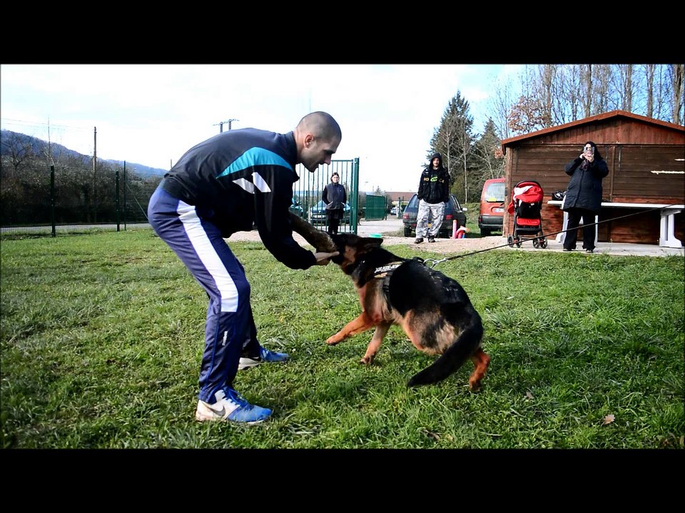 ENTRAINEMENT MORDENT  LINA DES FLAMMES DU MAL