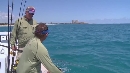 Kite Fishing for Spinners