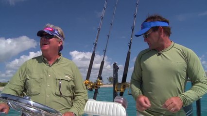 Rigging for Spinner Sharks