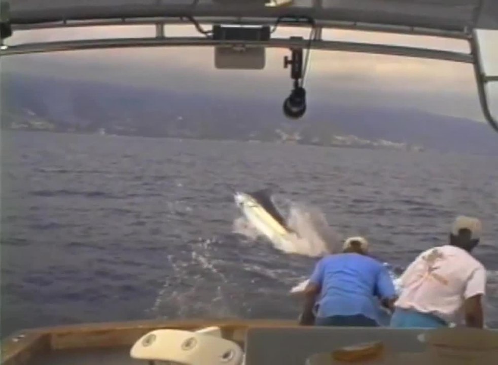 Marlin Pulls Man Overboard