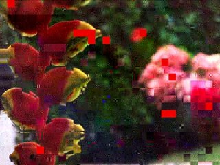 Marlin University in Guatemala