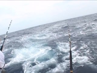 SFTV: Bermuda Offshore Banking Part 1