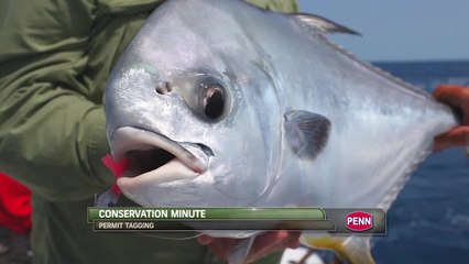 Mission Accomplished - Permit