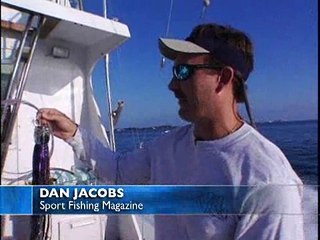 Bermuda Tiger Sharkin'