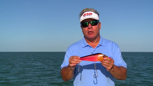 Yo-Zuri Lures - Sashimi - Overview