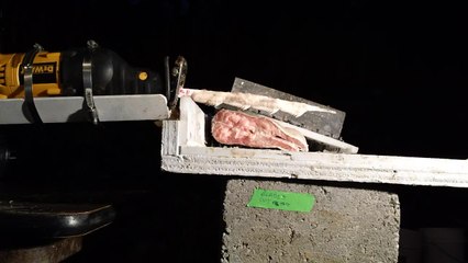 Jawzall Slices Salmon