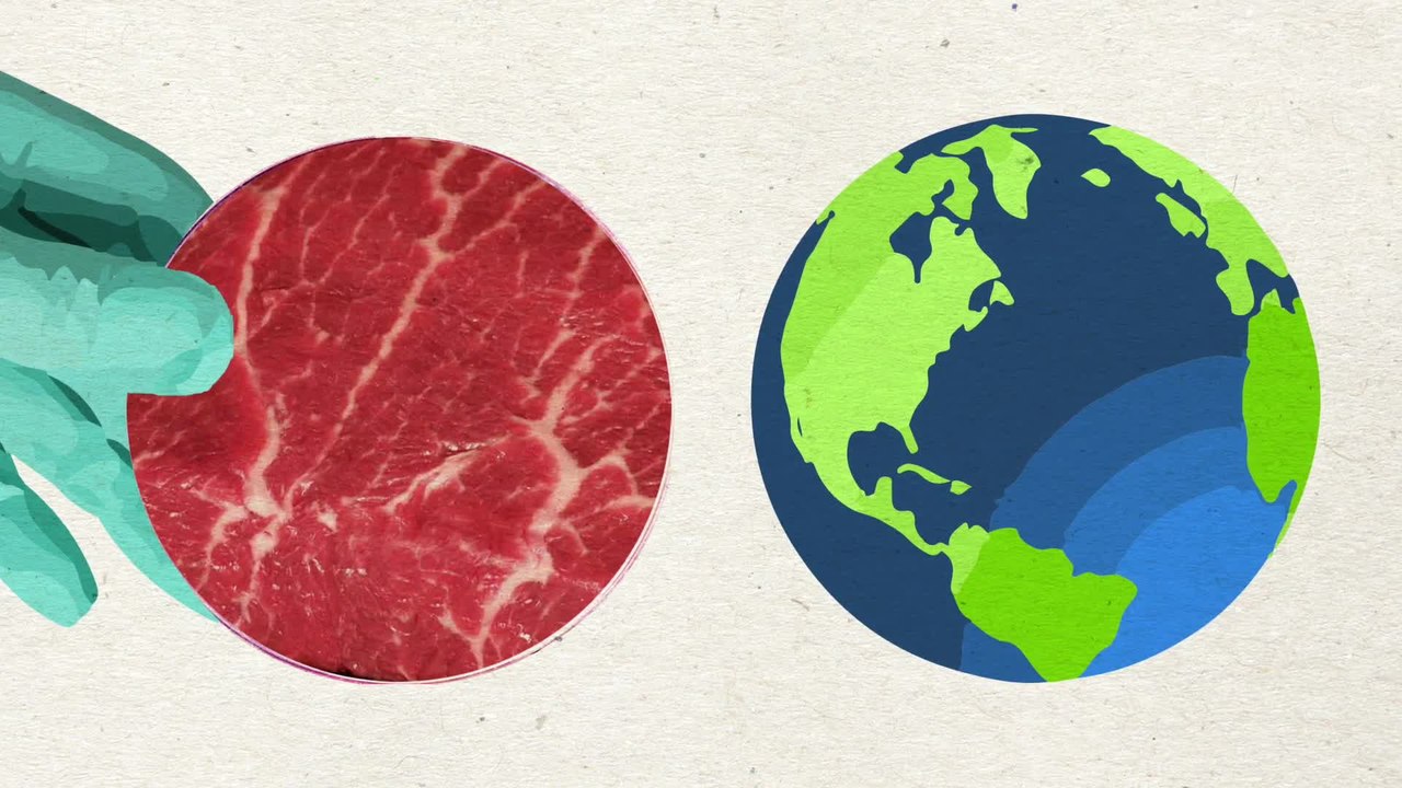 Should Beef Come From A Petri Dish?