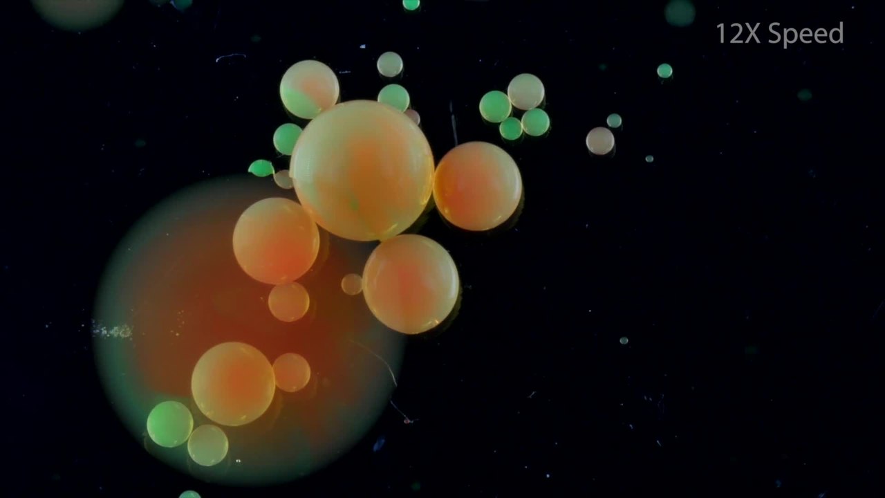 Beautiful Chemistry