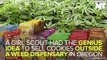 Girl Scouts Sell Cookies Outside Weed Dispensaries