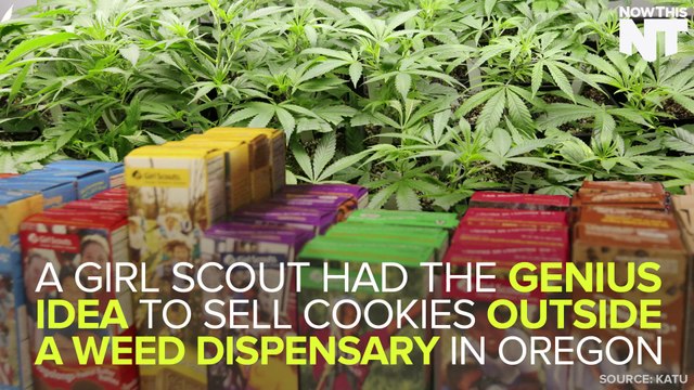 Girl Scouts Sell Cookies Outside Weed Dispensaries