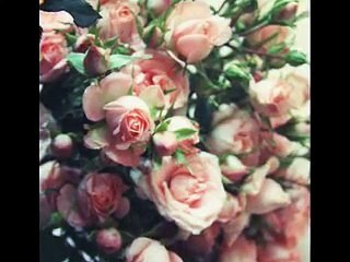 ٍEmad Ram-Avaye shab عماد رام ـ آوای شب