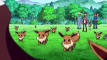 Pokemon XY&Z Episode 2 - Quilladin fall in love with Eevee
