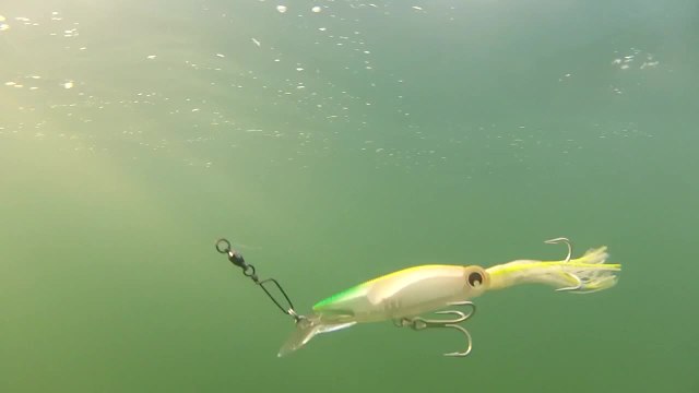 Yo-Zuri Lures - Sashimi 3D - 3D Squirt