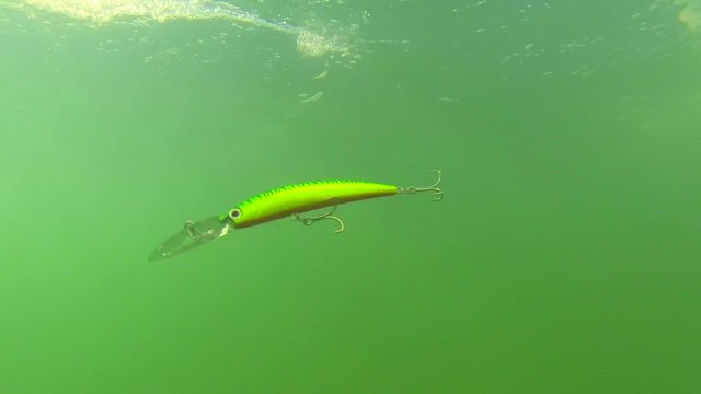 Yo-Zuri Lures - Crystal Minnows - Deep Divers
