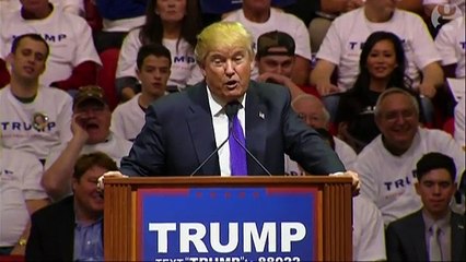 Donald Trump says he'd like to punch protester at Nevada rally